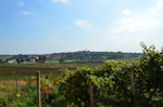 n_dsc_0004.jpg